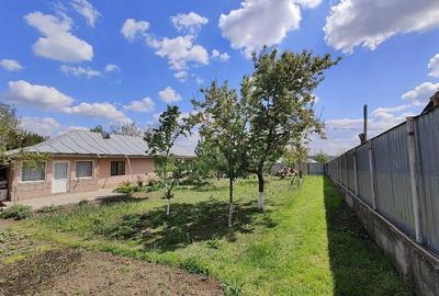 Casă cu 4 camere cu Teren 1280 Mp în Pechea - 2