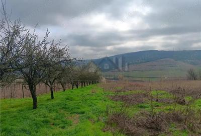 Teren de 46000 mp, în Dorobanț - 5