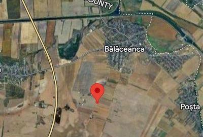 Teren de 1782 mp, în Cernica - 4