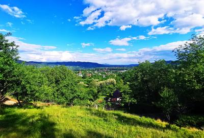 Teren Construcții intravilan de 8655 mp, în Breaza - 3