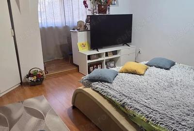 Apartament cu 2 camere decomandat în Cetate - 8