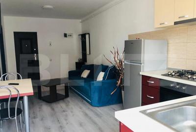 Apartament cu 2 camere semidecomandat, mobilat în Sânpetru - 11