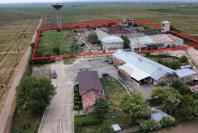 Spațiu industrial, de 5,300 mp, în Dobrinești - 12