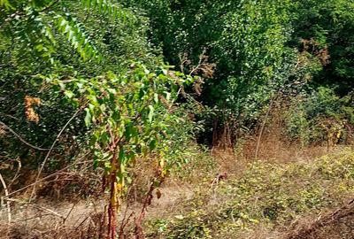 Casă cu 3 camere în Plevna - 2