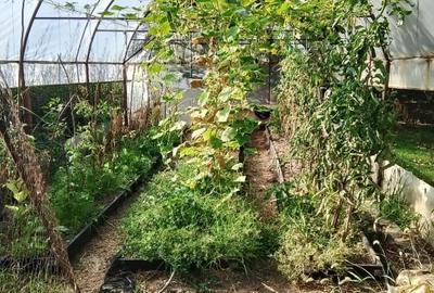 Casă P+1 cu teren 700 mp, panouri solare, aproape de București Livedea, Ialomița - 3