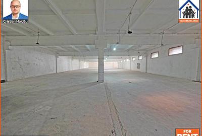 Hale de inchiriat in 1 Decembrie Ilfov | NILS Imobiliare - 4
