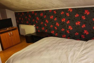 Apartament cu 2 camere în Bușteni - 2