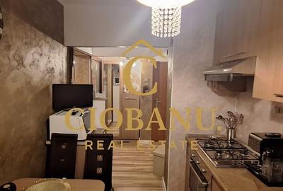 Apartament 2 camere de vanzare zona Calea Bucuresti - 10