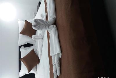 Apartament cu 2 camere decomandat în Sinaia - 4