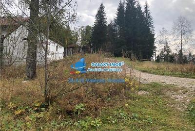 Vanzare teren 850 mp Predeal Cioplea - Belvedere - 5