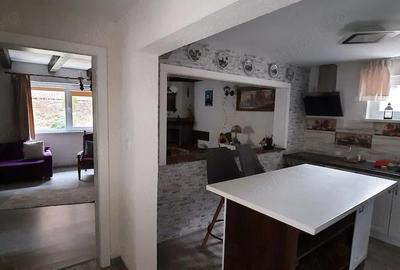 Casă cu Teren 900 Mp în Govăjdia - 4