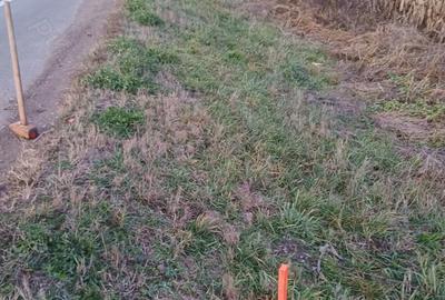Teren de 6500 mp, în Băcia - 3