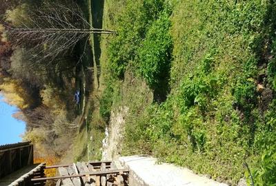 Casă cu Teren 140000 Mp în Preluca Nouă - 3