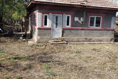 Casă cu 2 camere în Central