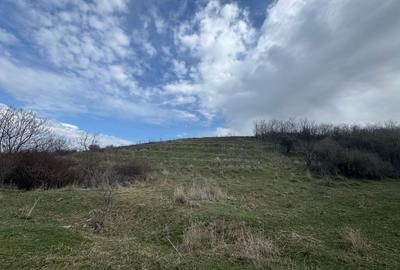 Teren agricol extravilan de 10233 mp, în Exterior Nord - 3