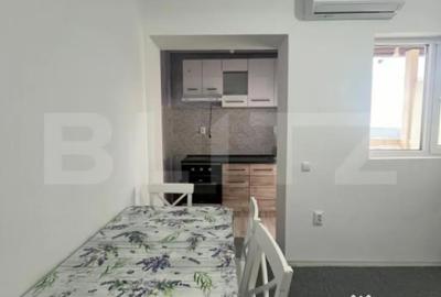 Garsonieră în Ciurea - 13