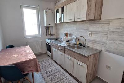 Garsonieră decomandată în Ciarda Roșie - 5