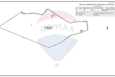 Teren extravilan, 25066 mp, Moieciu - 11