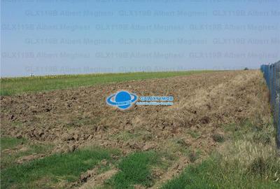 Teren Intravilan Herasti Giurgiu 2 HA - 1