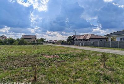 Teren rezidential Sacalaz - 4