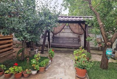 Teren intravilan 700mp - utilități, foișor, solar - 7