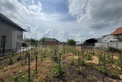 Casă cu 4 camere cu Teren 1842 Mp în Filiași - 7