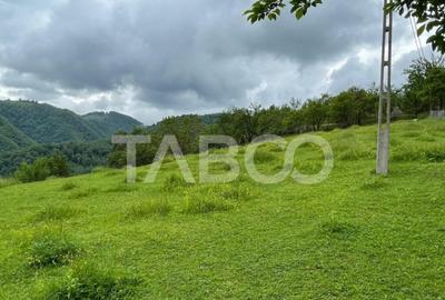 Teren intravilan de vanzare in Martinia de sus - 2