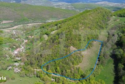 Spațiu comercial, în Pădure - 2