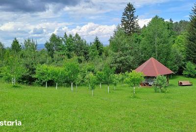 Teren de 2000 mp, în Ștefan cel Mare - 10