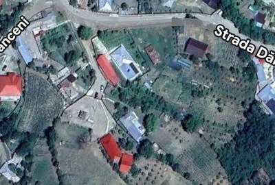 Casă cu Teren 8500 Mp în Podu Turcului - 2