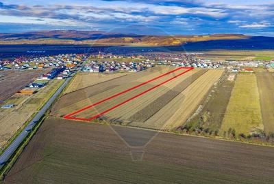 COMISION 0% Teren 24,845mp Bod /Ideal pentru dezvoltare rezidentiala - 4