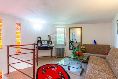 Casa+Laborator+ Teren 12.700 mp + casa de vacanta - Bolin... - 27