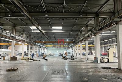 Depozit/hala/spatiu industrial Militari - Timisoara Depozit/hala/spatiu industrial Militari - Timisoara - 1