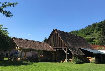 Casă individuală cu 3 camere cu Teren 1408 Mp în Roandola - 2