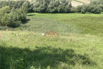 Teren de 8000 mp, în Moara - 3