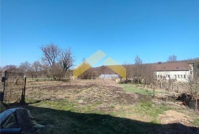 Casă individuală cu 5 camere cu Teren 1782 Mp în Căpruța - 4