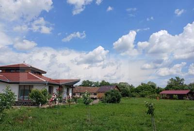 Casa superba in Tinca, 225 mp, 20 ari luciu de apa, teren fo - 5