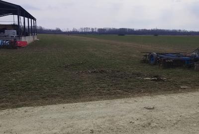 Spațiu comercial, în Puchenii Mari - 1