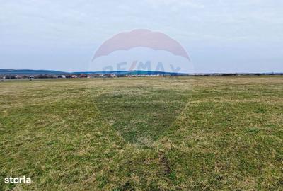 Spațiu comercial, în Șura Mică - 2