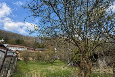 Spațiu comercial, în Nămăești - 17