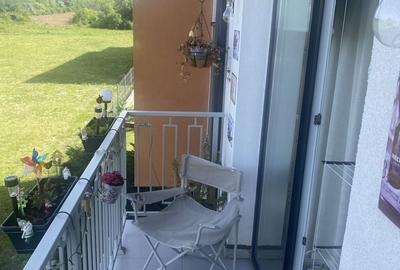 Apartament cu 2 camere decomandat în Oncea - 8