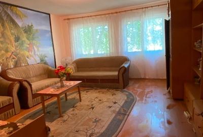 Proprietar vand casa de vacanta gata de locuit in Cebza , sat linistit - 8