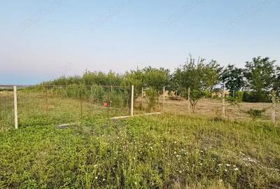 Teren de 6666 mp, în Alioș - 4
