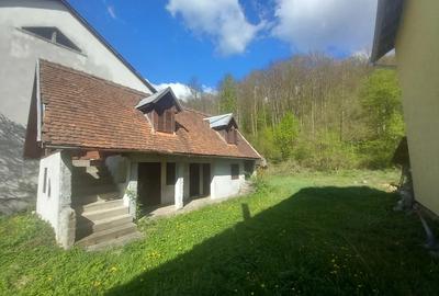 Casa Moneasa langa tabara - 5