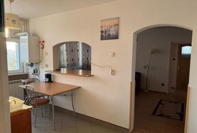 Baba Novac | Parc IOR | Centrala proprie | Vedere superba - 3