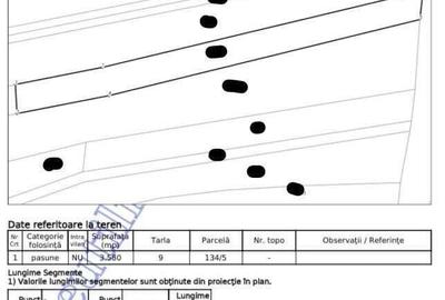 Teren extravilan pasune Ardeoani, ID: R2404618 - 9