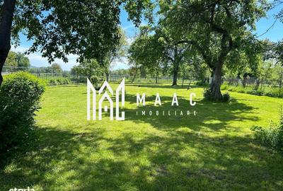 Casă cu 8 camere cu Teren 1629 Mp în Central - 4