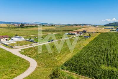 Teren pretabil constructie rezidentiala – Sanpetru - 4