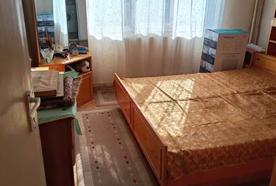 Apartament cu 3 camere decomandat în Craiovița Nouă - 2