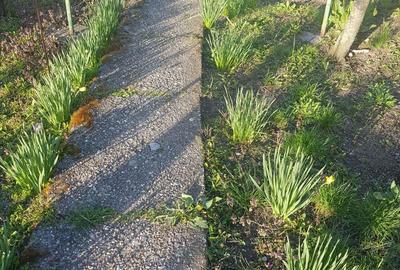 Vind casa in Bals jud.Olt - 7